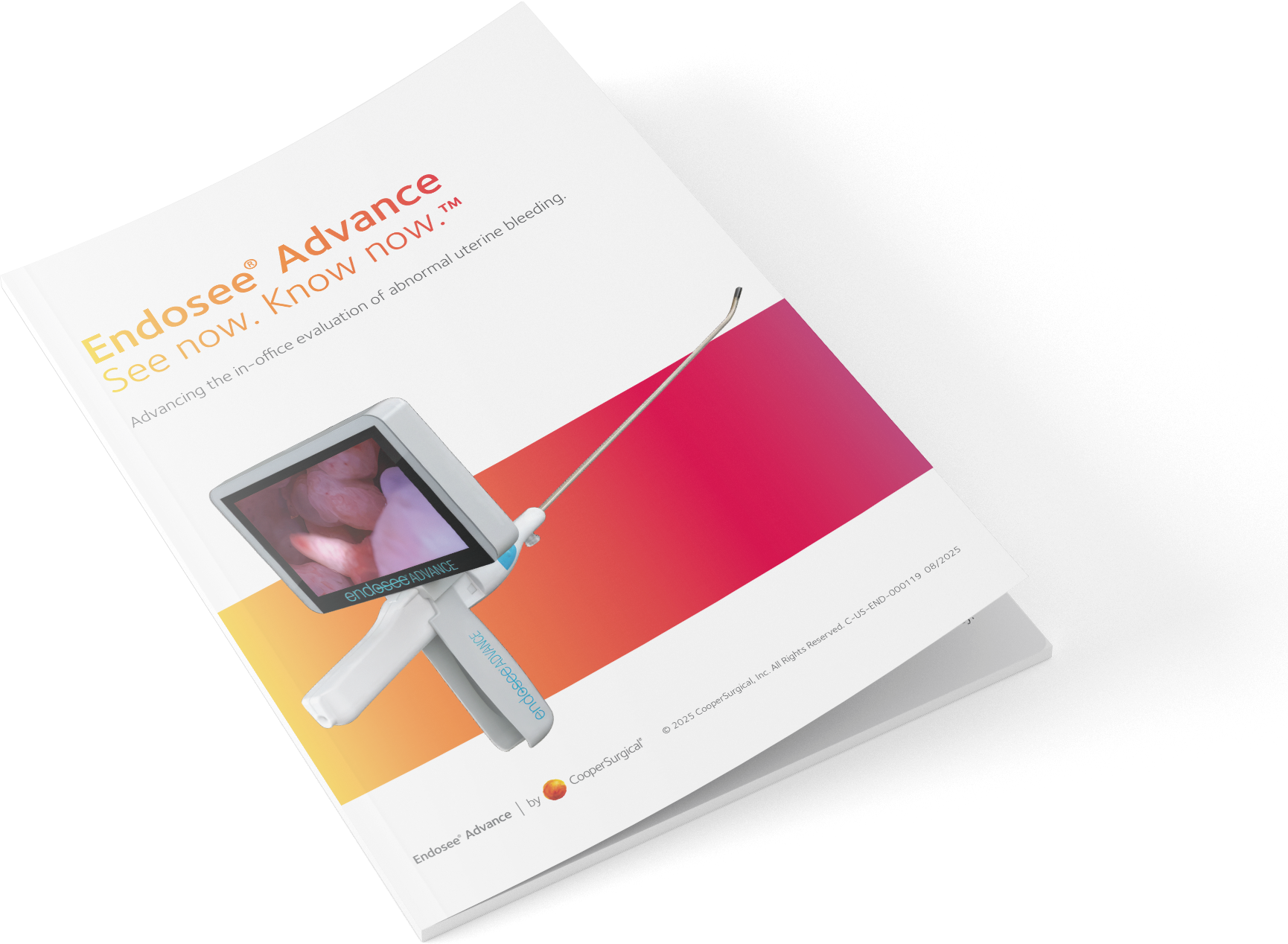 Endosee-HCP-brochure-mockup